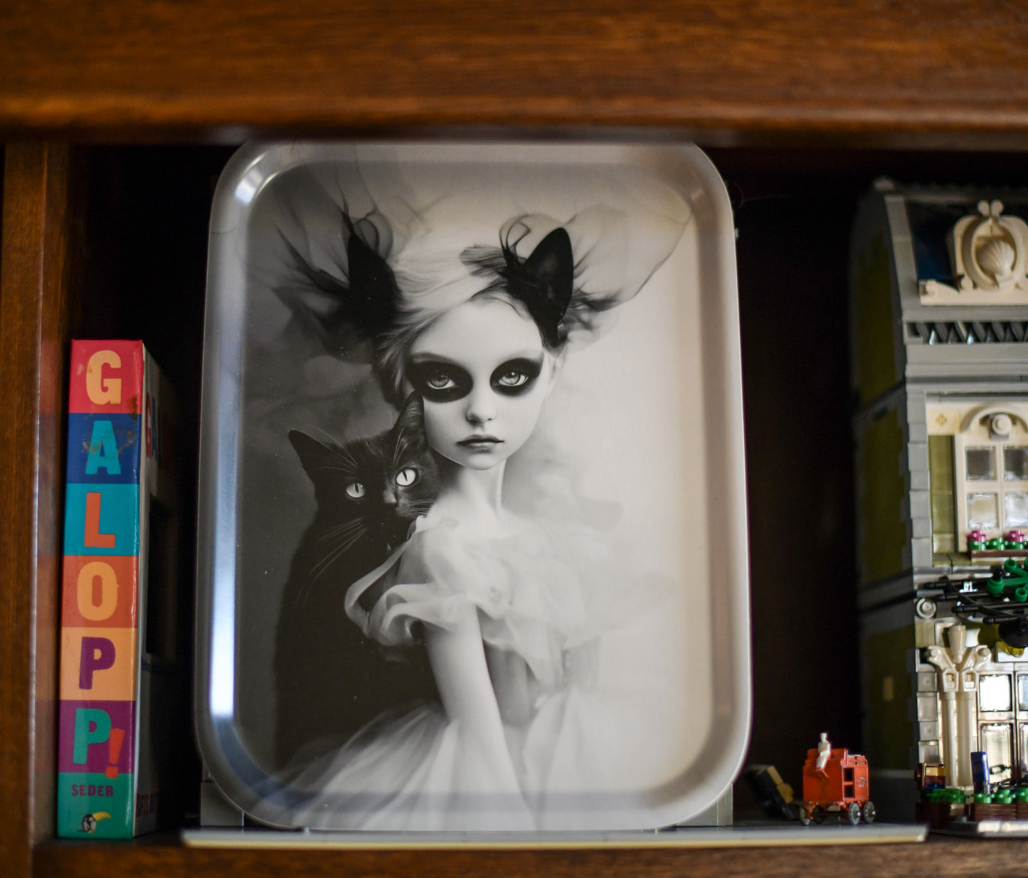 Ghost girl and cat tray